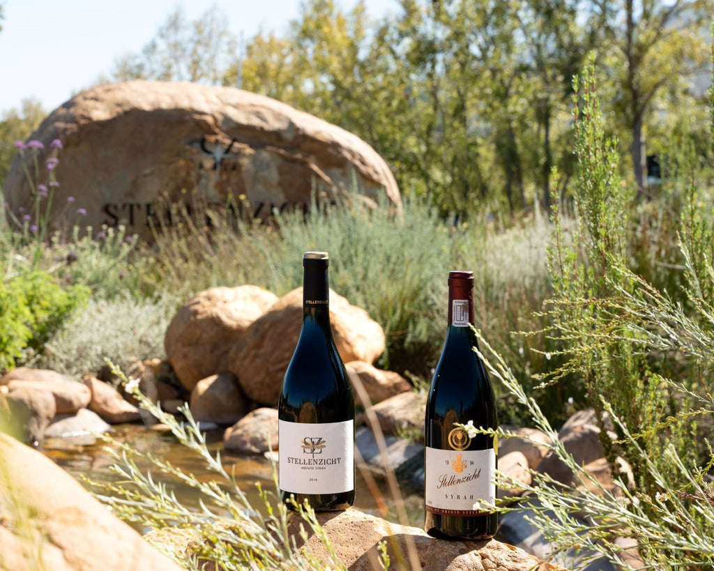 The Stellenzicht Syrah Legacy