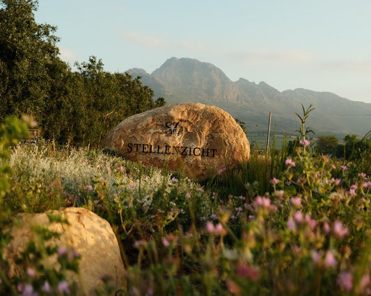 Stellenzicht Wine Farm Winemaker Sustainable Farming Regenerative Nature Eco Friendly Tasting Enthusiast Award-winning Premium South Africa