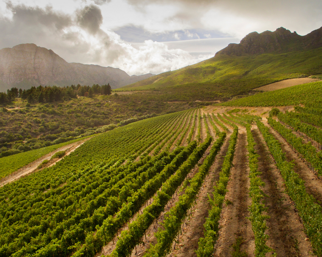 What makes the Helderberg Mountain vineyards special?