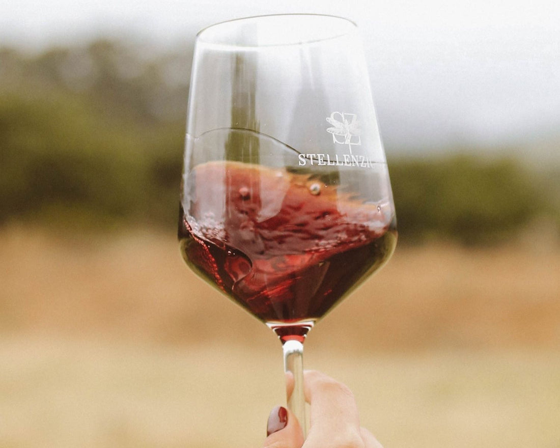 Stellenzicht Stellenbosch Wines Winelands Single Varietal Range Cabernet Savignon Cinsault Syrah Shiraz Red Award Winning Online South Africa