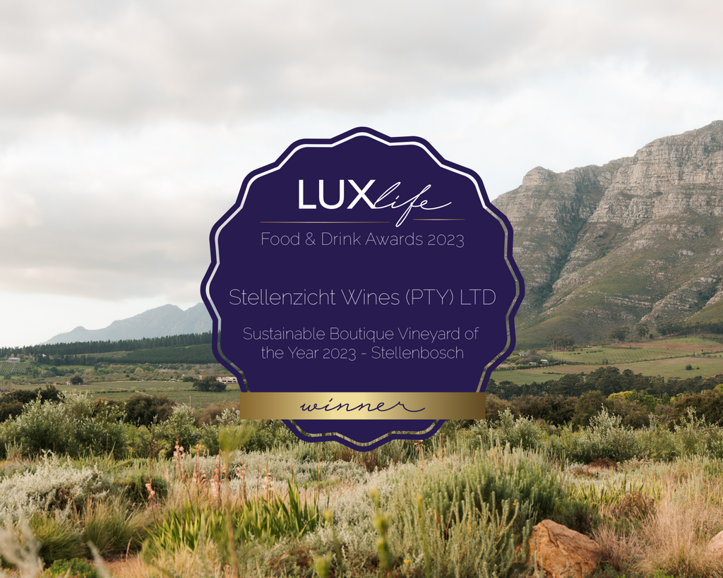 Stellenzicht Wins Sustainable Boutique Vineyard of the Year